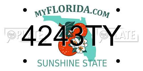 4243TY Florida License Plate