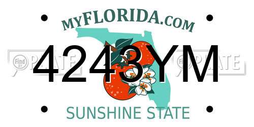 4243YM Florida License Plate
