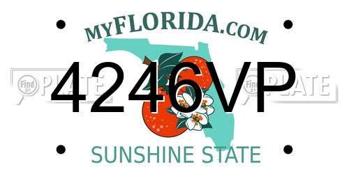 4246VP Florida License Plate