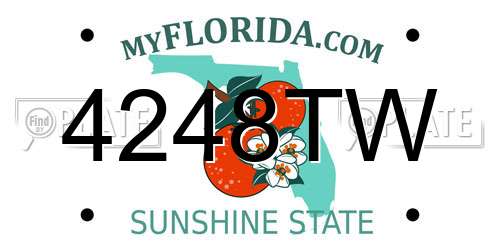 4248TW Florida License Plate