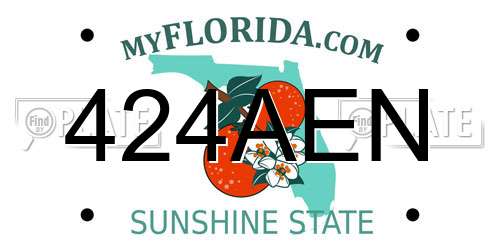 424AEN Florida License Plate