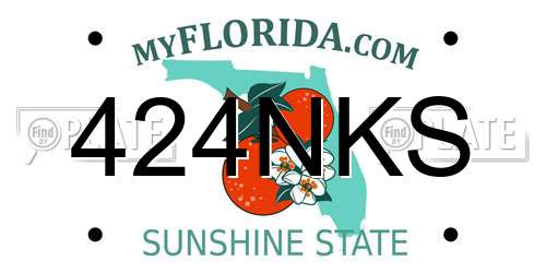 424NKS Florida License Plate