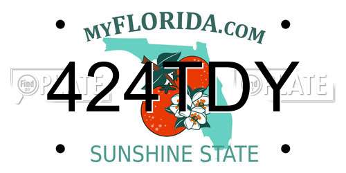 424TDY Florida License Plate