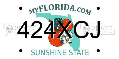 424XCJ Florida License Plate