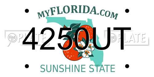 4250UT Florida License Plate