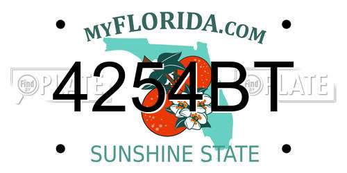 4254BT Florida License Plate
