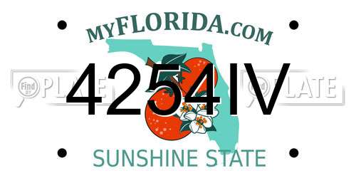 4254IV Florida License Plate