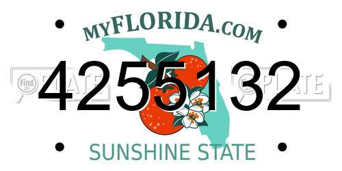 4255132 Florida License Plate