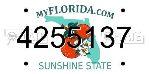 4255137 Florida License Plate