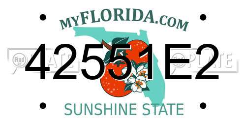 42551E2 Florida License Plate