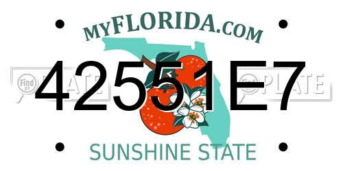 42551E7 Florida License Plate