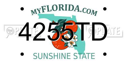 4255TD Florida License Plate