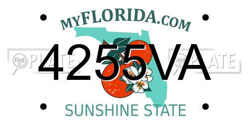 4255VA Florida License Plate
