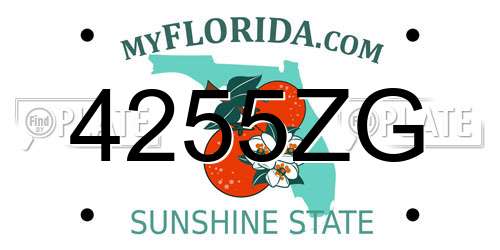 4255ZG Florida License Plate