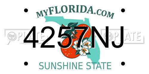 4257NJ Florida License Plate