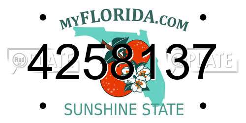 4258137 Florida License Plate