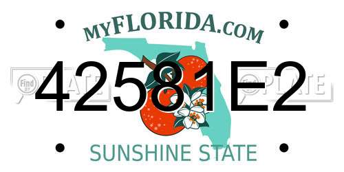42581E2 Florida License Plate