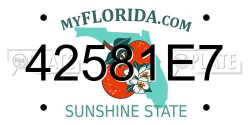 42581E7 Florida License Plate