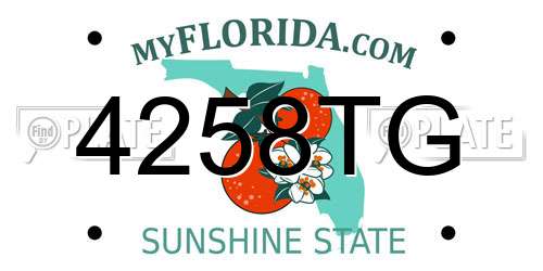 4258TG Florida License Plate