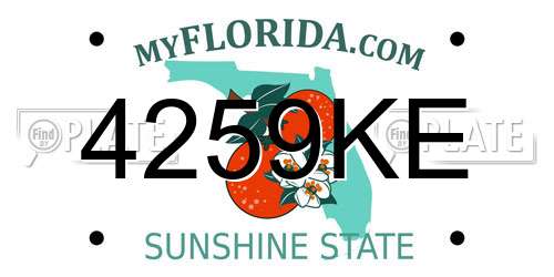 4259KE Florida License Plate