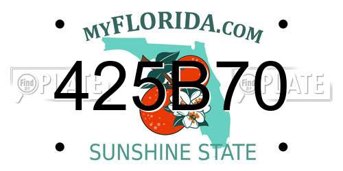425B70 Florida License Plate