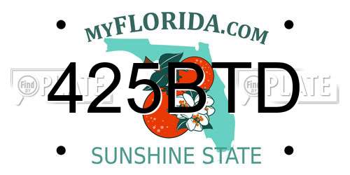 425BTD Florida License Plate