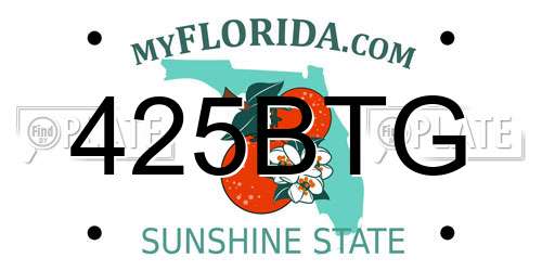 425BTG Florida License Plate