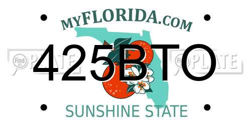 425BTO Florida License Plate