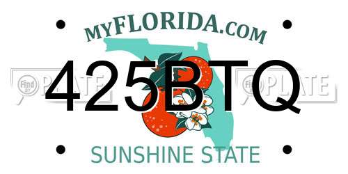 425BTQ Florida License Plate