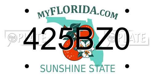 425BZ0 Florida License Plate