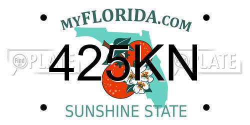 425KN Florida License Plate