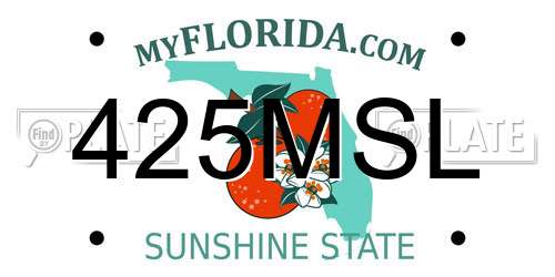 425MSL Florida License Plate