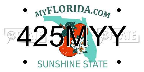 425MYY Florida License Plate