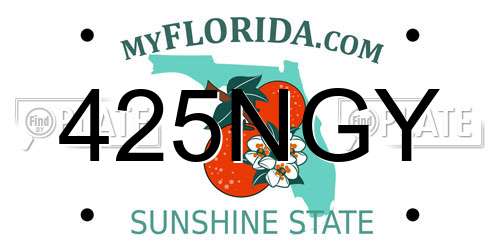 425NGY Florida License Plate