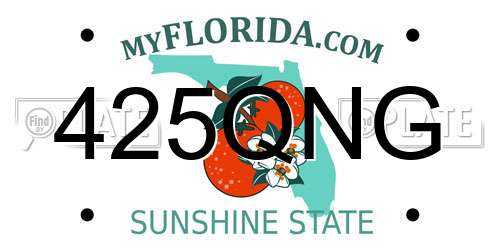425QNG Florida License Plate
