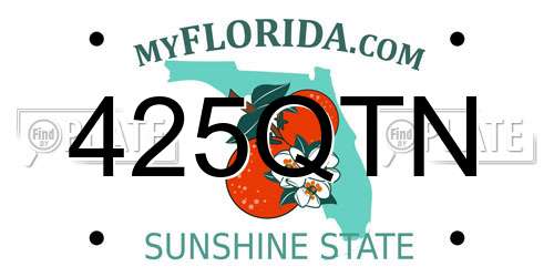 425QTN Florida License Plate