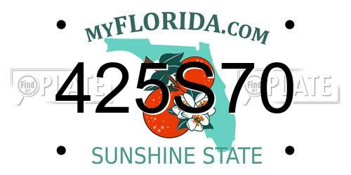 425S70 Florida License Plate
