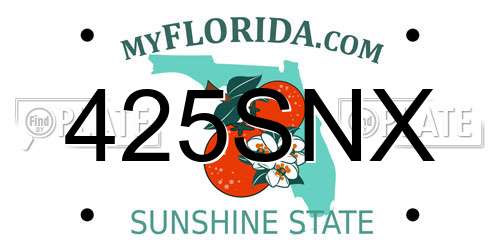 425SNX Florida License Plate