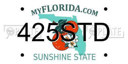 425STD Florida License Plate