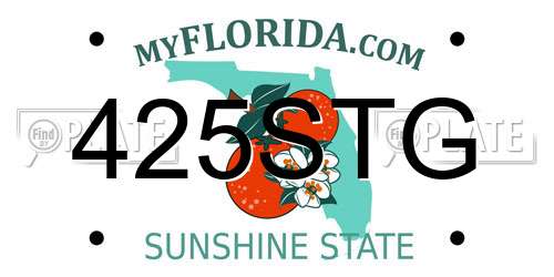 425STG Florida License Plate