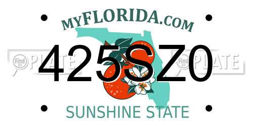 425SZ0 Florida License Plate