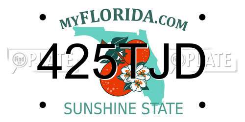 425TJD Florida License Plate