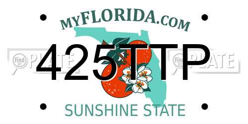 425TTP Florida License Plate