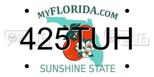 425TUH Florida License Plate