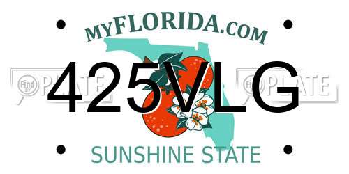 425VLG Florida License Plate