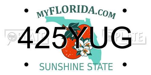 425YUG Florida License Plate