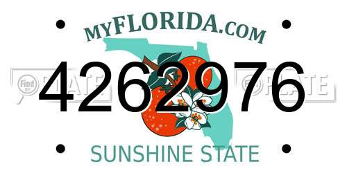 4262976 Florida License Plate
