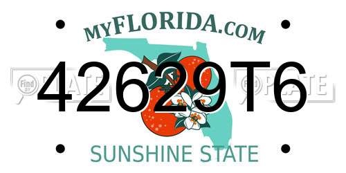 42629T6 Florida License Plate