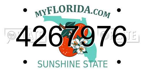 4267976 Florida License Plate