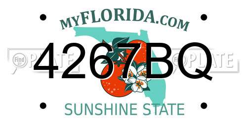 4267BQ Florida License Plate